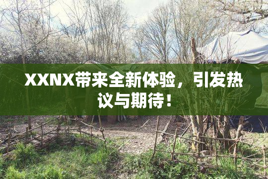 XXNX带来全新体验，引发热议与期待！