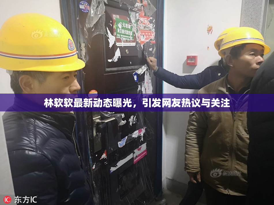 林软软最新动态曝光，引发网友热议与关注