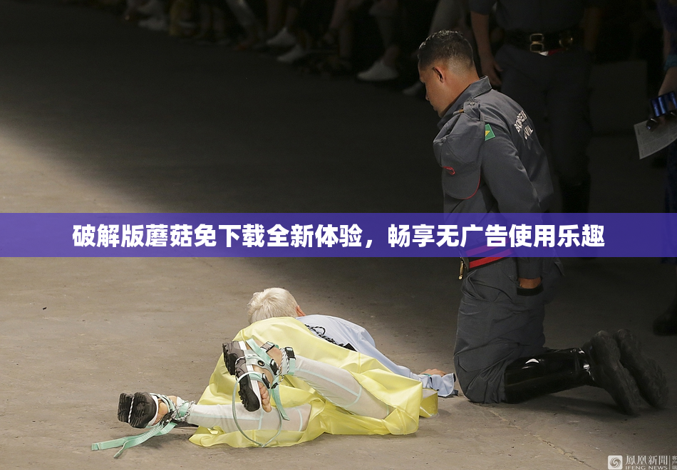 破解版蘑菇免下载全新体验，畅享无广告使用乐趣
