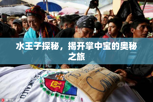水王子探秘，揭开掌中宝的奥秘之旅