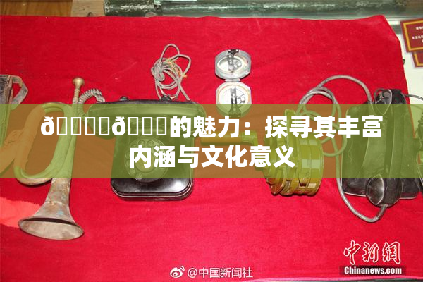 🔞‌🍌的魅力：探寻其丰富内涵与文化意义