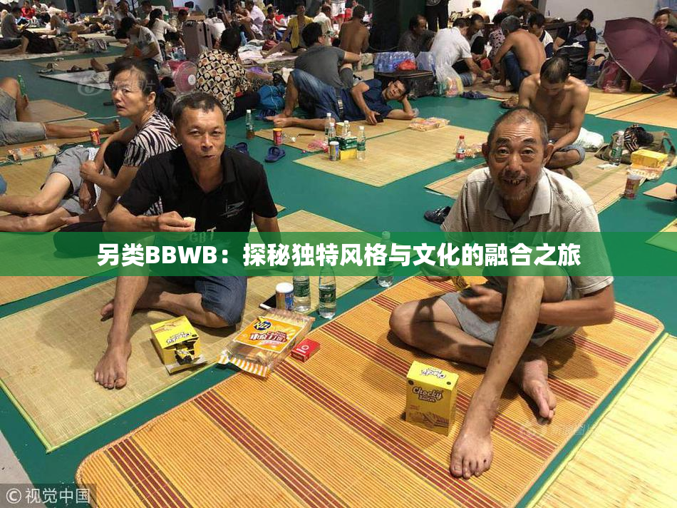 另类BBWB：探秘独特风格与文化的融合之旅