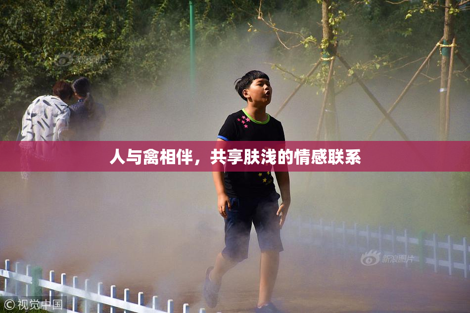人与禽相伴，共享肤浅的情感联系