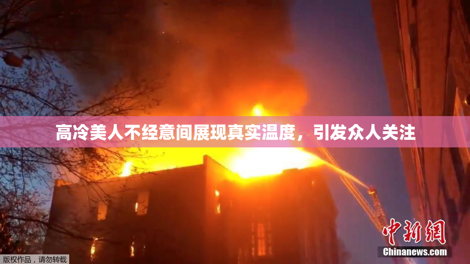 高冷美人不经意间展现真实温度，引发众人关注