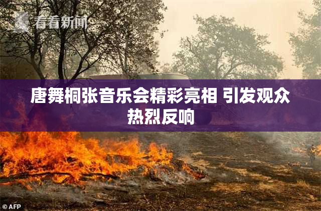 唐舞桐张音乐会精彩亮相 引发观众热烈反响
