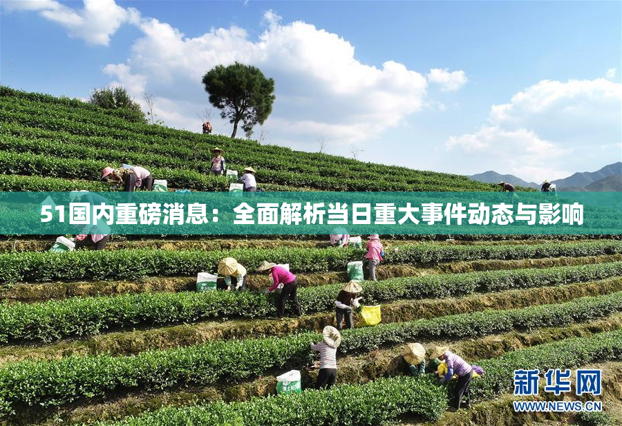 51国内重磅消息：全面解析当日重大事件动态与影响