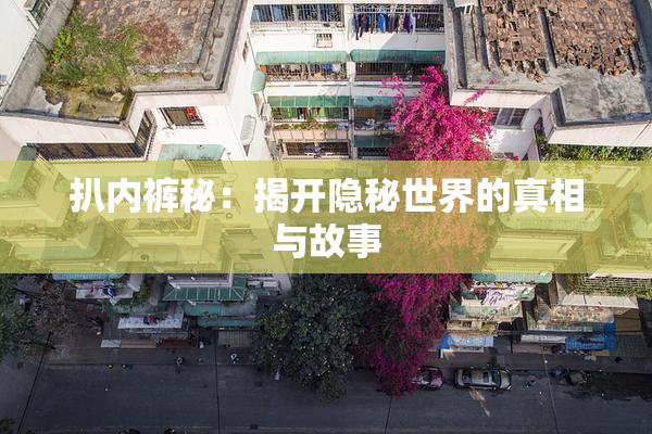 扒内裤秘：揭开隐秘世界的真相与故事