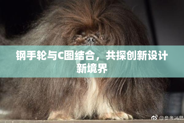 钢手轮与C图结合，共探创新设计新境界