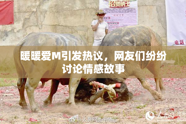 暖暖爱M引发热议，网友们纷纷讨论情感故事