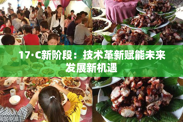 17·C新阶段：技术革新赋能未来发展新机遇