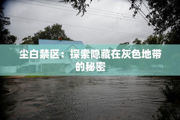 尘白禁区：探索隐藏在灰色地带的秘密