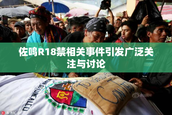 佐鸣R18禁相关事件引发广泛关注与讨论