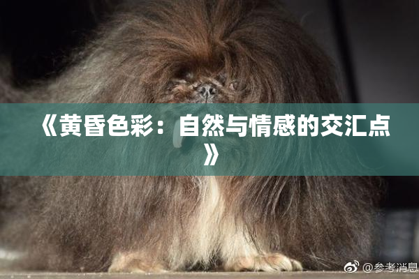 《黄昏色彩：自然与情感的交汇点》