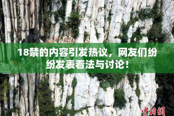 18禁的内容引发热议，网友们纷纷发表看法与讨论！