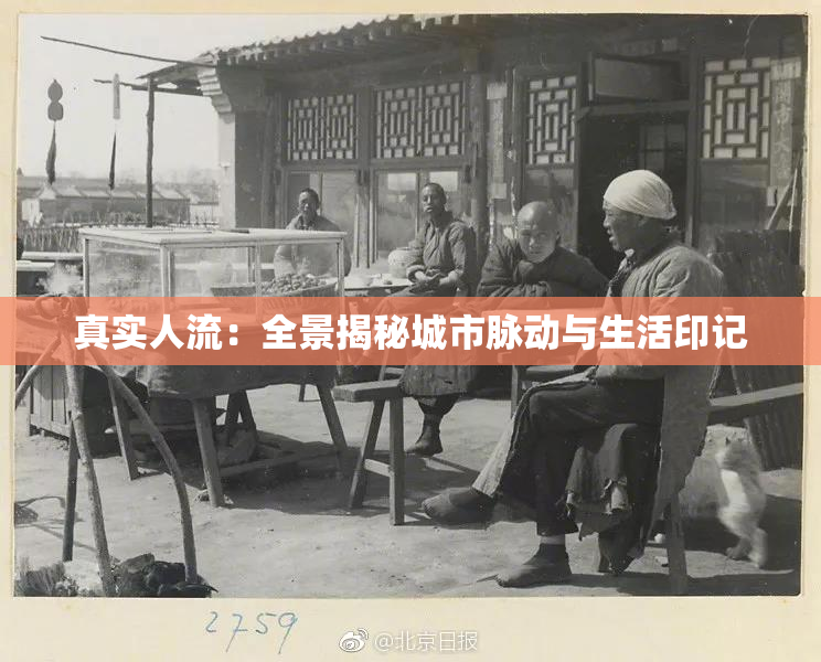 真实人流：全景揭秘城市脉动与生活印记