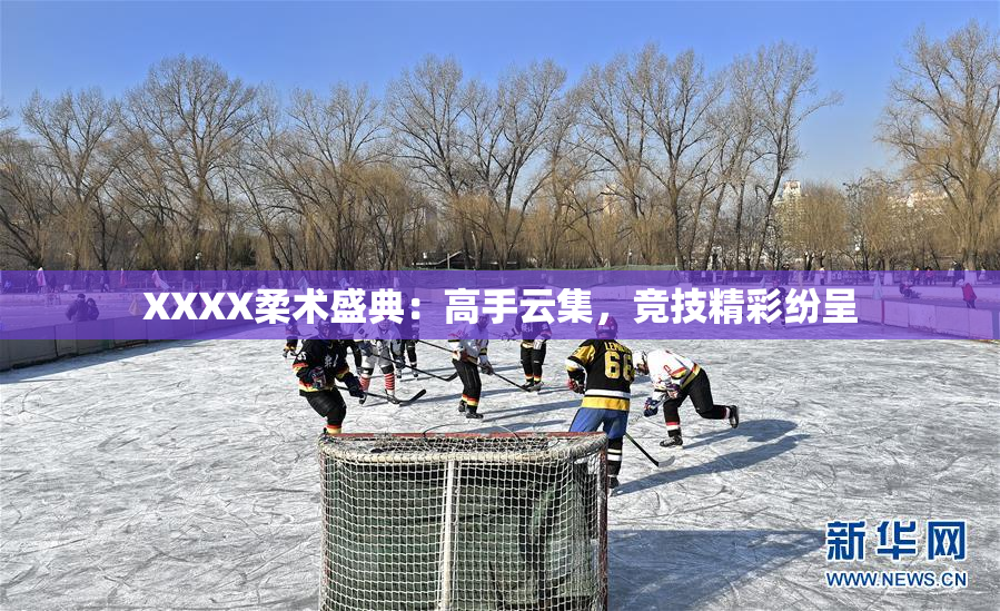 XXXX柔术盛典：高手云集，竞技精彩纷呈