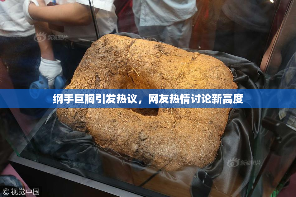 纲手巨胸引发热议，网友热情讨论新高度