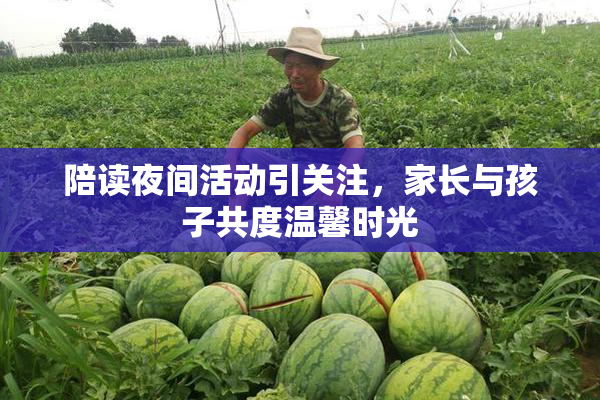 陪读夜间活动引关注，家长与孩子共度温馨时光