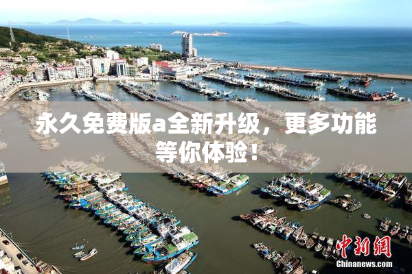永久免费版a全新升级，更多功能等你体验！