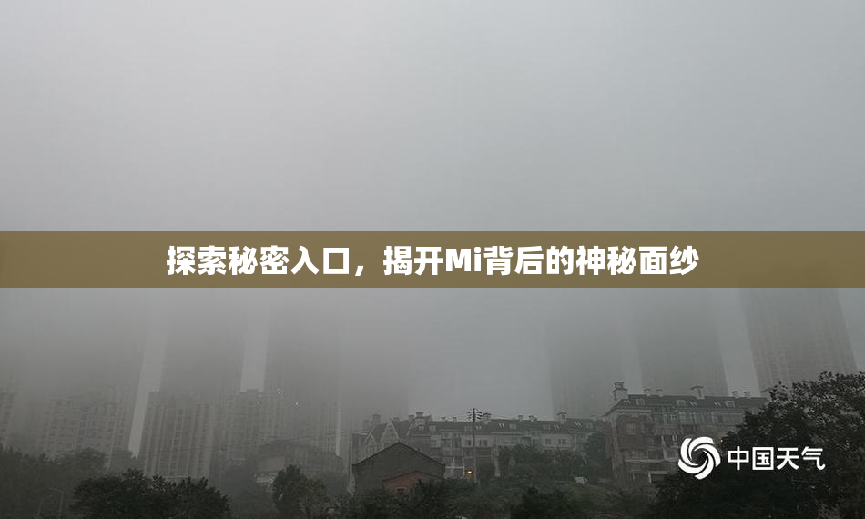 探索秘密入口，揭开Mi背后的神秘面纱