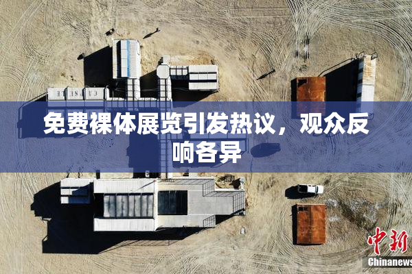 免费裸体展览引发热议，观众反响各异
