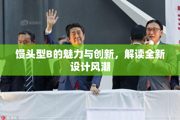 馒头型B的魅力与创新，解读全新设计风潮