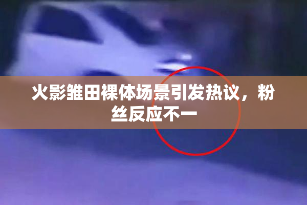 火影雏田裸体场景引发热议，粉丝反应不一