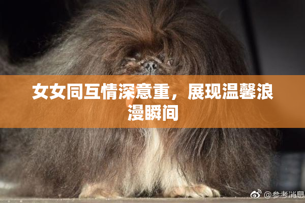 女女同互情深意重，展现温馨浪漫瞬间