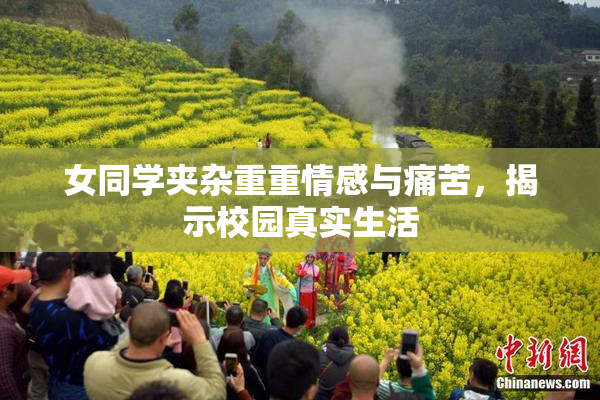 女同学夹杂重重情感与痛苦，揭示校园真实生活