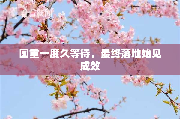 国重一度久等待，最终落地始见成效