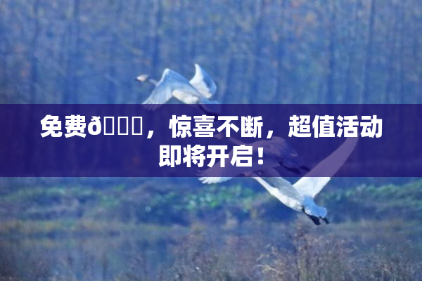 免费🔞，惊喜不断，超值活动即将开启！