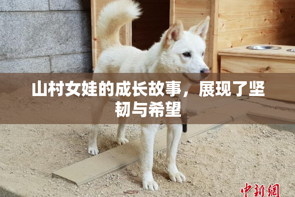 山村女娃的成长故事，展现了坚韧与希望