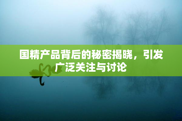 国精产品背后的秘密揭晓，引发广泛关注与讨论