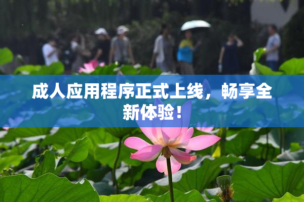 成人应用程序正式上线，畅享全新体验！