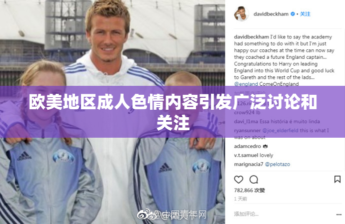 欧美地区成人色情内容引发广泛讨论和关注