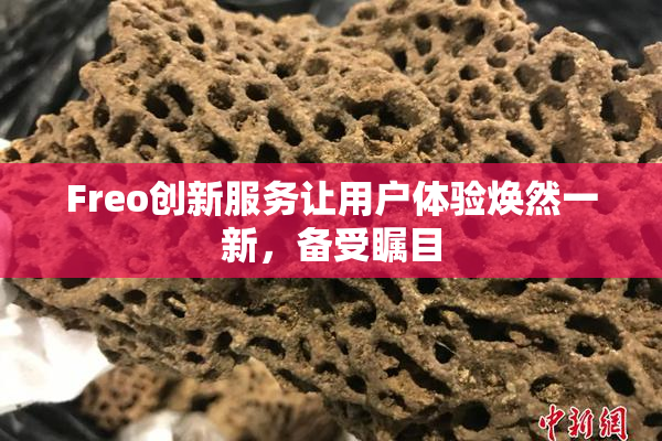 Freo创新服务让用户体验焕然一新，备受瞩目