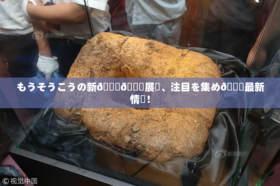 もうそうこうの新👅🍑展開、注目を集め🌃最新情報！