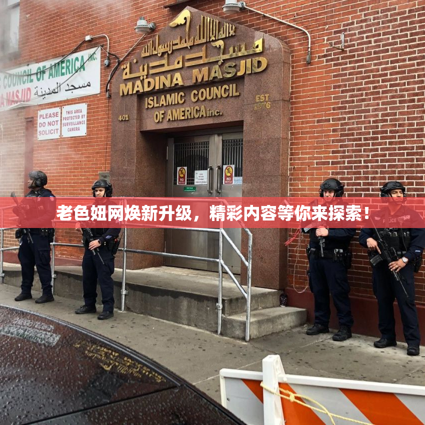 老色妞网焕新升级，精彩内容等你来探索！