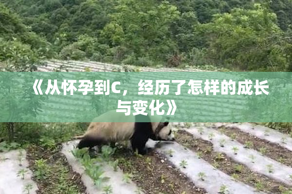 《从怀孕到C，经历了怎样的成长与变化》