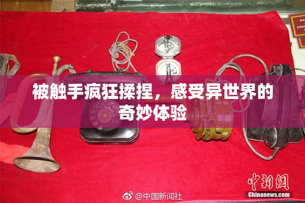 被触手疯狂揉捏，感受异世界的奇妙体验