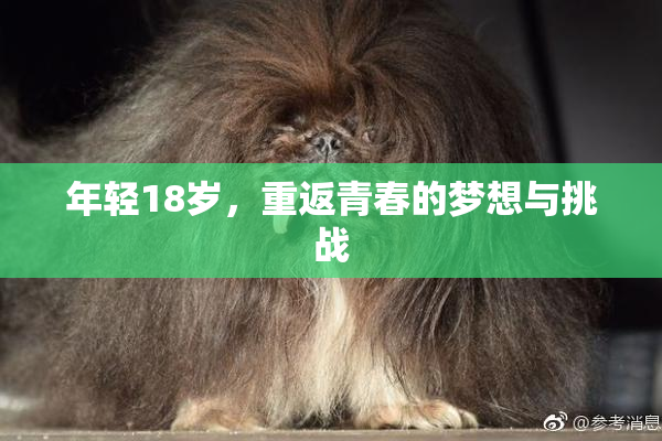 年轻18岁，重返青春的梦想与挑战