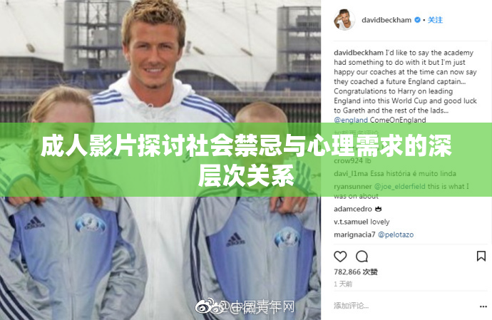 成人影片探讨社会禁忌与心理需求的深层次关系