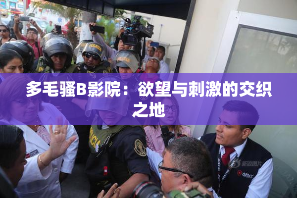 多毛骚B影院：欲望与刺激的交织之地