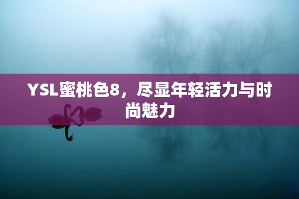 YSL蜜桃色8，尽显年轻活力与时尚魅力