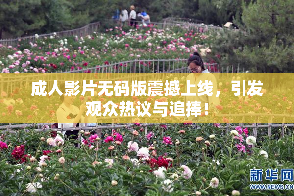 成人影片无码版震撼上线，引发观众热议与追捧！