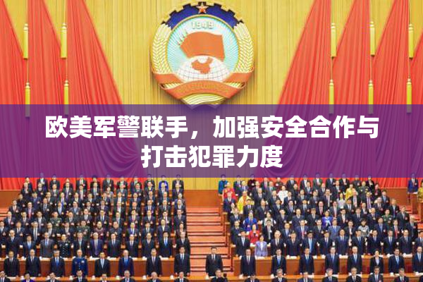 欧美军警联手，加强安全合作与打击犯罪力度