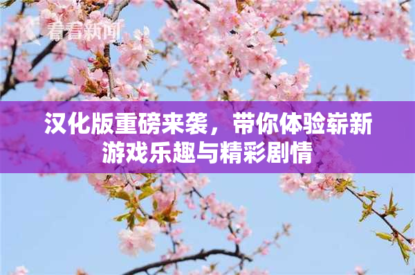 汉化版重磅来袭，带你体验崭新游戏乐趣与精彩剧情