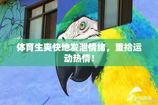 体育生爽快地发泄情绪，重拾运动热情！