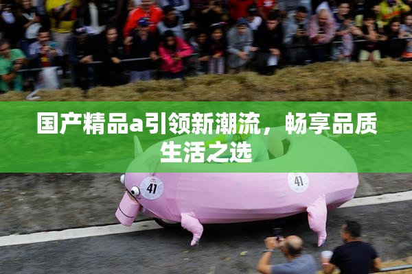 国产精品a引领新潮流，畅享品质生活之选