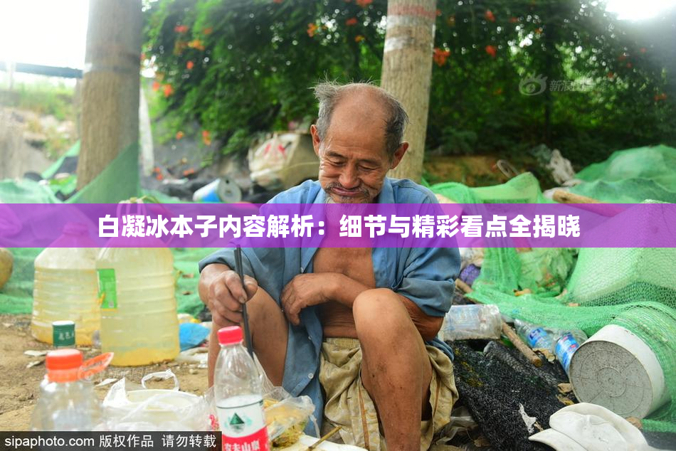 白凝冰本子内容解析：细节与精彩看点全揭晓